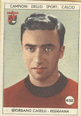 Descrizione: Descrizione: Descrizione: Descrizione: C:\REGGIANA1\Figurine Panini\Caselli.gif