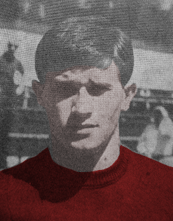 Descrizione: Descrizione: Descrizione: C:\REGGIANA1\Schede Giocatori\C\calzolari.gif