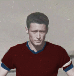 Descrizione: Descrizione: Descrizione: Descrizione: Descrizione: C:\REGGIANA1\Schede Giocatori\C\cappi.gif