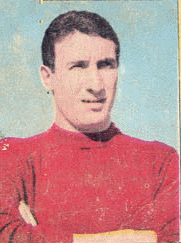 Descrizione: Descrizione: Descrizione: C:\REGGIANA1\Schede Giocatori\D\donzelli.gif